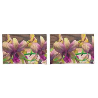 Orquídeas Surgindo