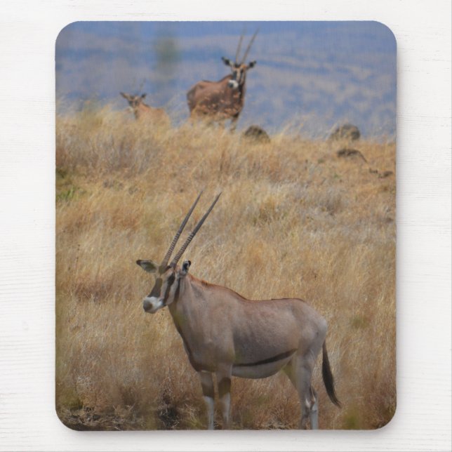 Oryx na África Mousepad (Frente)
