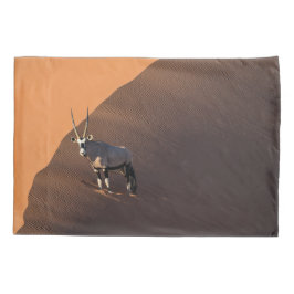 Oryx na borda, Namíbia