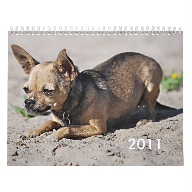 Os 2011 calendários académicos de Twinkie (Capa)