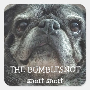 Os adesivos Bumblesnot "snort snort"