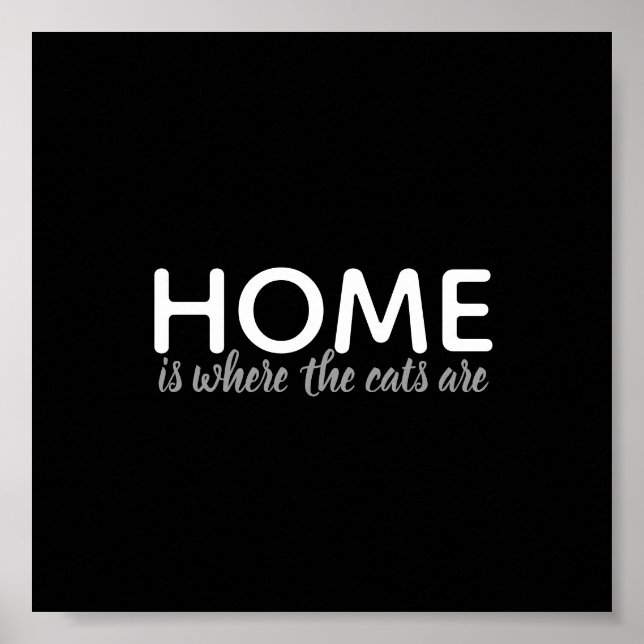 os amantes do gato citam poster preto e branco (Frente)
