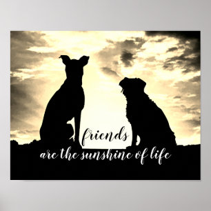 os amigos são o poster de aspas de sol com cães
