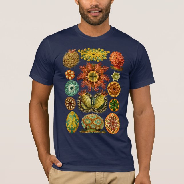 Os ASCIDIACEA de HAECKEL - T-shirt (Frente)