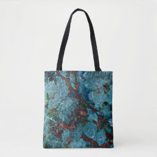 Os bolsas ideais do Aqua