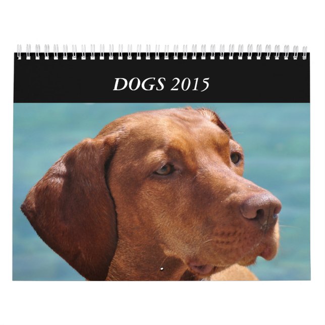 Os cães de todos temperam o calendário 2015 (Capa)
