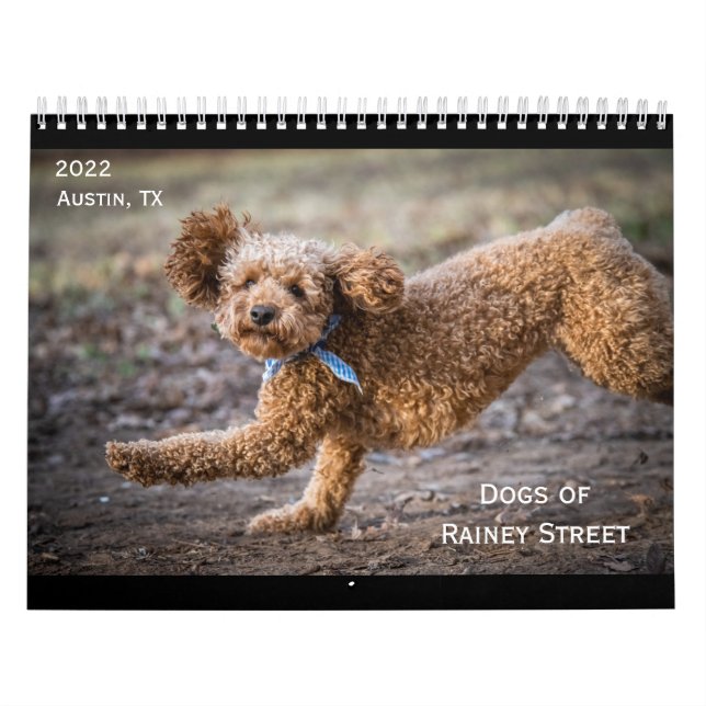 Os Cães do Calendário Rainey Street (Capa)
