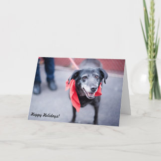 Os cartões de natal "feriado morno desejam "