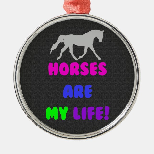 Os cavalos bonitos são meu ornamento da vida (Frente)