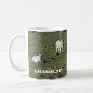 Os charolês acobardam-se e a caneca das vitelas
