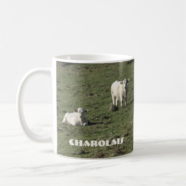 Os charolês acobardam-se e a caneca das vitelas (Esquerda)