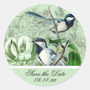 Os Chickadees e as magnólias salvar as etiquetas