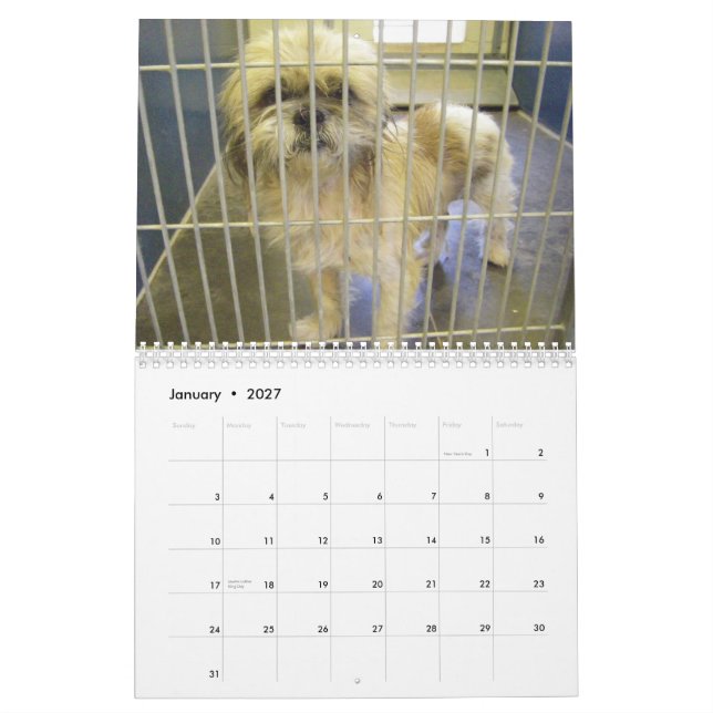Os colares verdadeiros do calendário dos cães 2010 (Jan 2027)