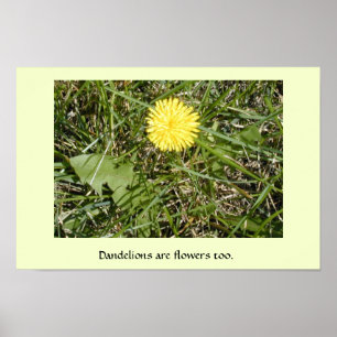 Os "dentes-de-leão são poster das flores"