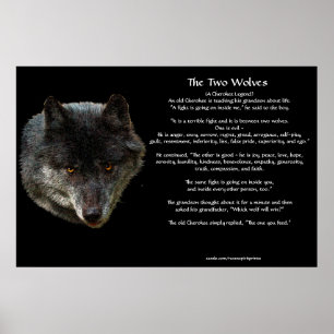 Os dois WOLVES CHEROKEE TALE Art Poster