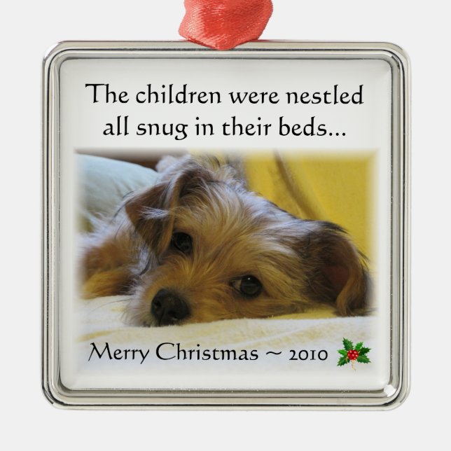 Os enfeites de natal 2010 de Lucy (Frente)