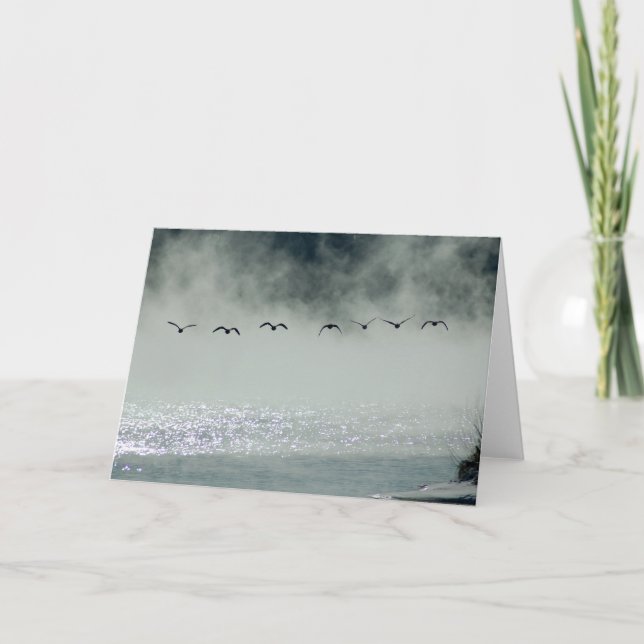 Os gansos tomam o cartão do vôo (Frente)