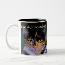Os "gatos provocam" a caneca de café ordinária