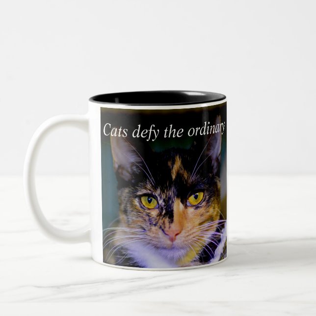 Os "gatos provocam" a caneca de café ordinária (Esquerda)