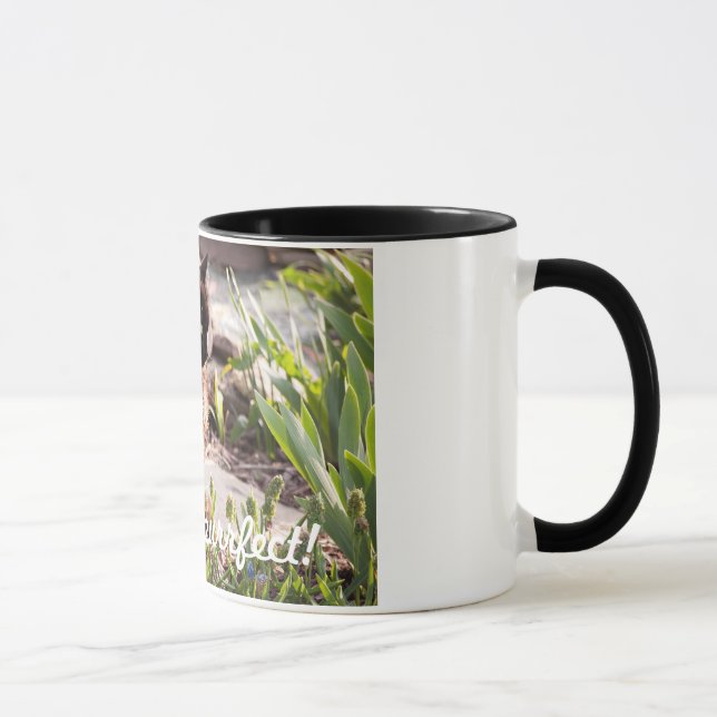 OS GATOS SÃO CANECA DE CAFÉ DE PURFFECT (Direita)