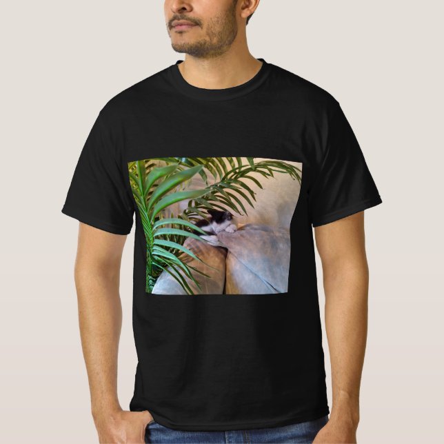 Os gatos são os melhores T-Shirt (Frente)