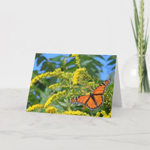 Os Monarcas - Cartão de Saudação do Vazio