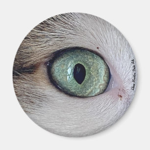 "Os Olhos Têm" íman de olho de gato