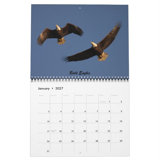 Os pássaros de Forsythe - calendário oficial do (Jan 2027)