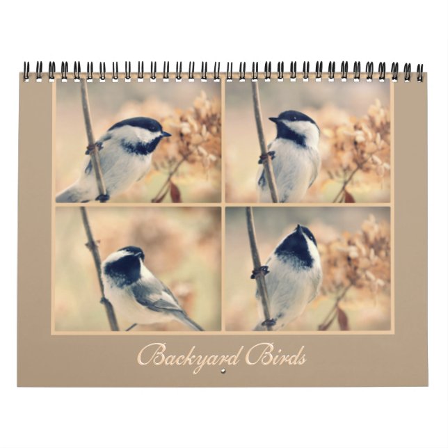 Os pássaros em seu calendário do quintal (Capa)