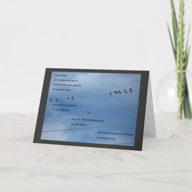 os pássaros não residem cartão (Frente)