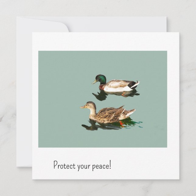 Os patos. Proteja sua paz (Frente)