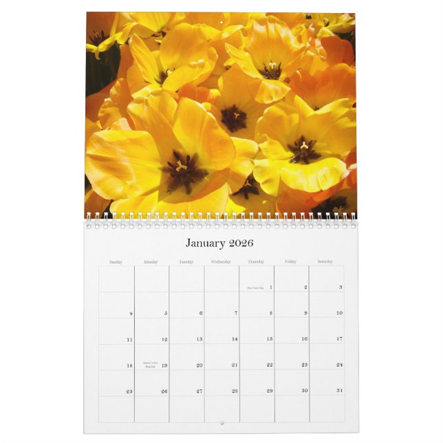 Os professores dos presentes do calendário são (Jan 2026)