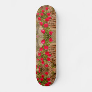 os rosas escalam em uma parede de tijolo no skate
