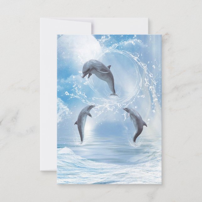 Os Sonhos Dos Golfinhos (Frente)