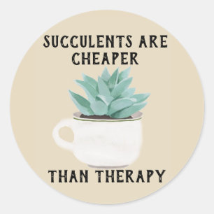 Os Succulents são mais baratos do que a etiqueta