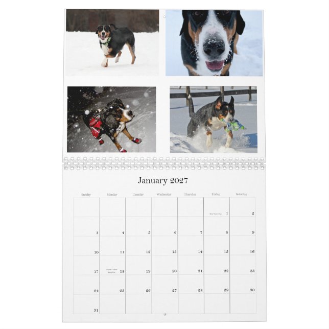 Os suíços lambem o calendário 2011 de Swissies (e (Jan 2027)