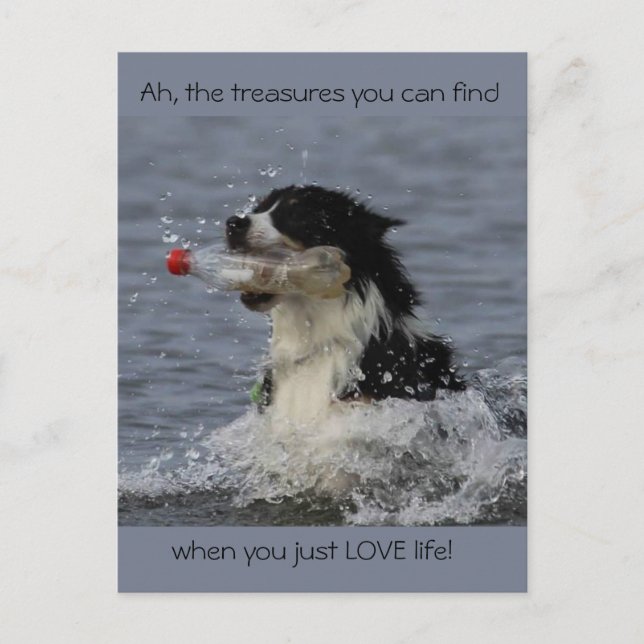 Os tesouros da vida, cartão postal (Frente)