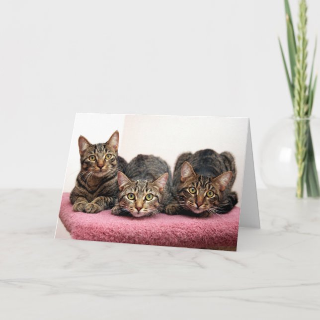 Os três cartões do amigo (Frente)