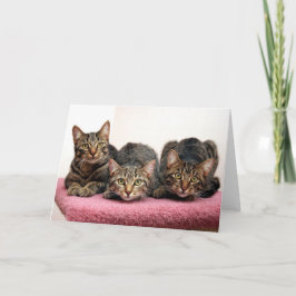 Os três cartões do amigo