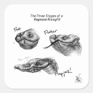 "Os três palcos etiqueta de Hognose de um