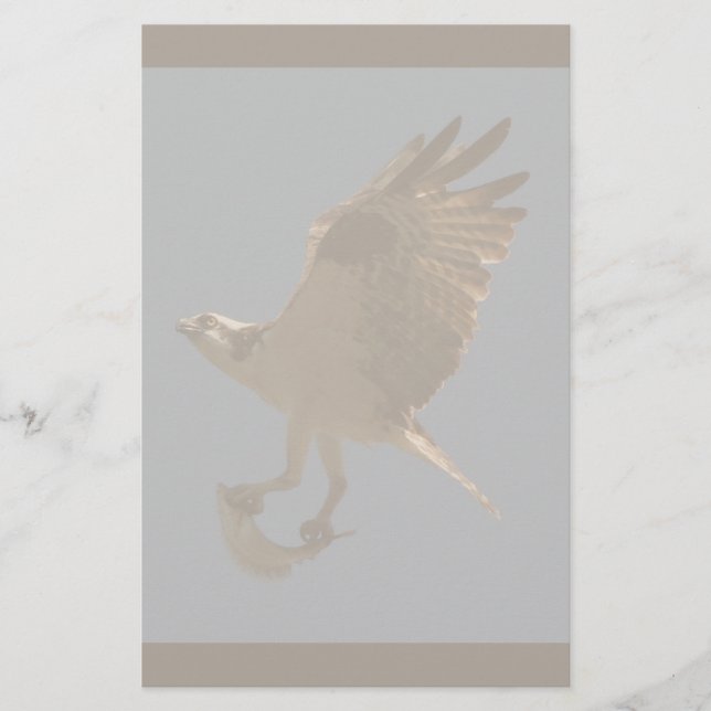 Osprey com artigos de papelaria dos peixes (Frente)