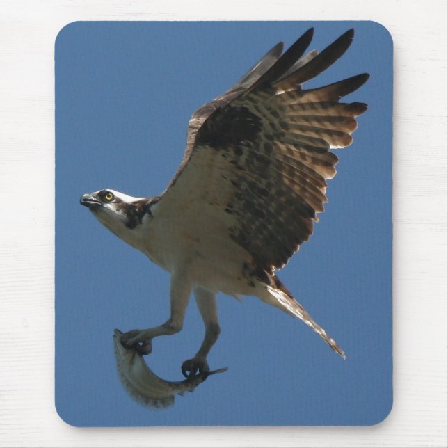 Osprey/peixes Mousepad (Frente)