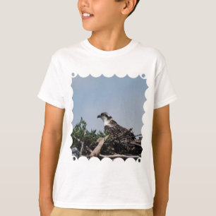 Osprey que senta-se no t-shirt da juventude do