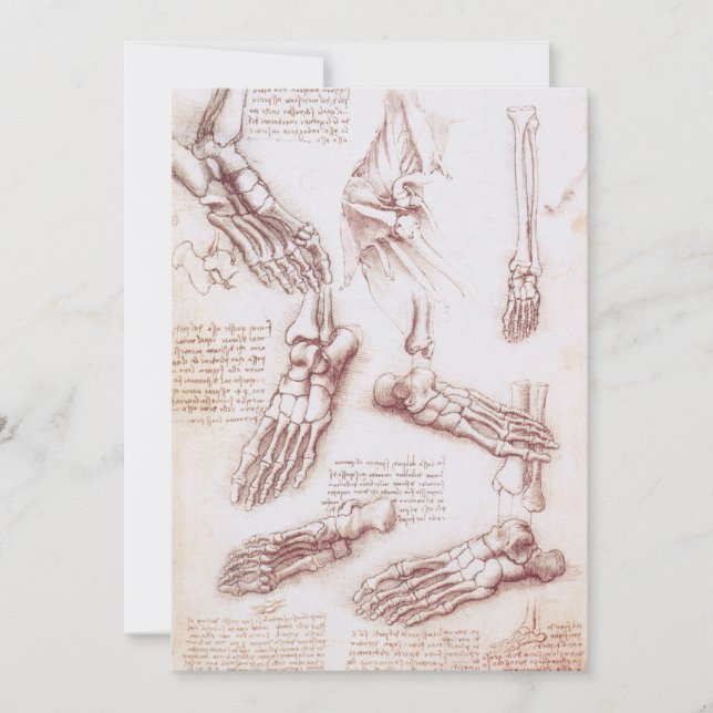 Ossos do Pé da Anatomia Humana de Leonardo da Vinc (Frente)