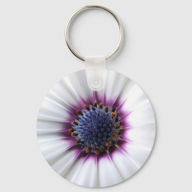 Osteospurmum Chaveiro (Frente)