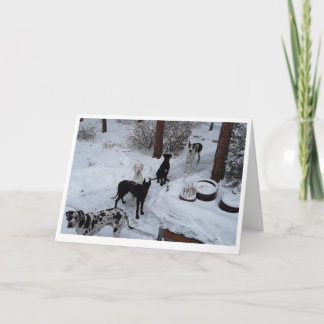 Ótimo Cartão de Natal Dane