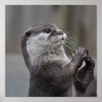 Otter Masterhead Poster