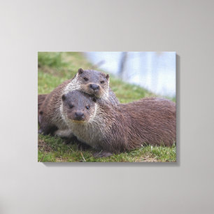 Otterly no impressão das canvas do amor