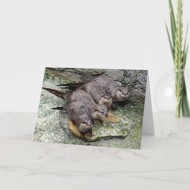 Otters 4 numa linha Cartão de Saudação (Frente)