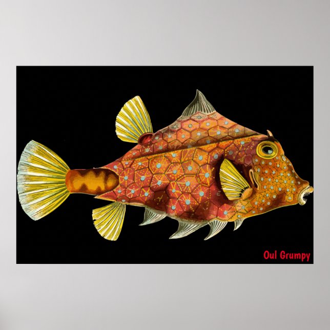 Oul Grumpy Poster (Frente)